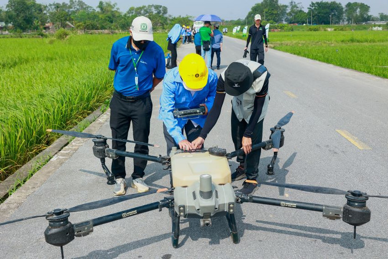 Thực hành trên đồng ruộng