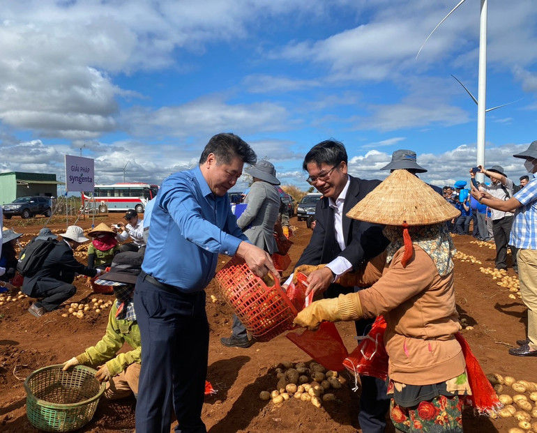 Ông Lê Quốc Thanh, Giám đốc trung tâm Khuyến nông Quốc gia tham gia thu hoạch khoai tây tại xã Bàu Cạn, huyện Chư Prông, tỉnh Gia Lai.