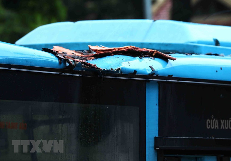 Xe buýt bị hư hỏng nhẹ sau sự cố cây xanh đổ vào.