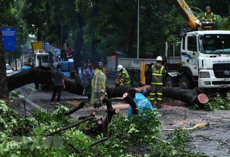 Nhân viên công ty xây xanh khắc phục sự cố.