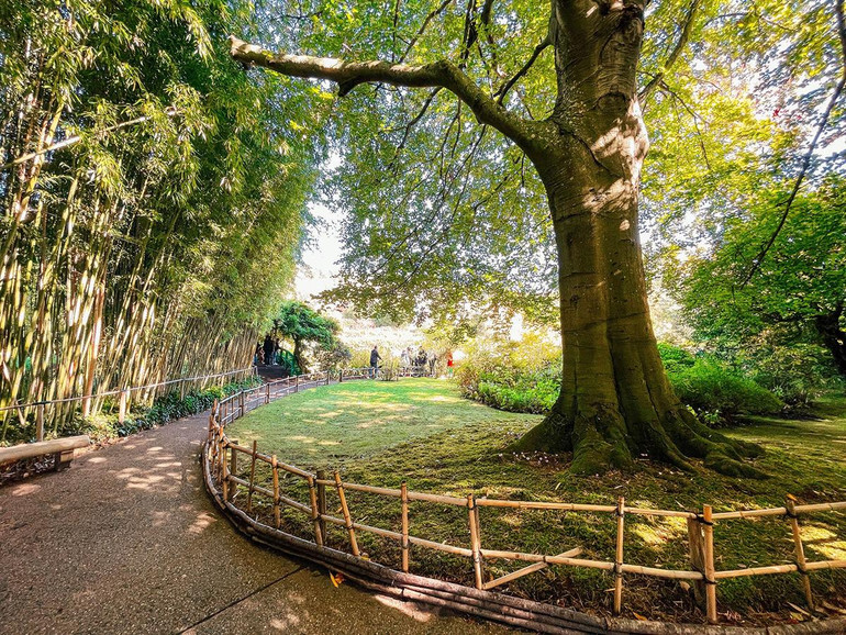 [Ảnh] Ghé Giverny thăm nhà vườn của danh họa người Pháp Claude Monet ảnh 1