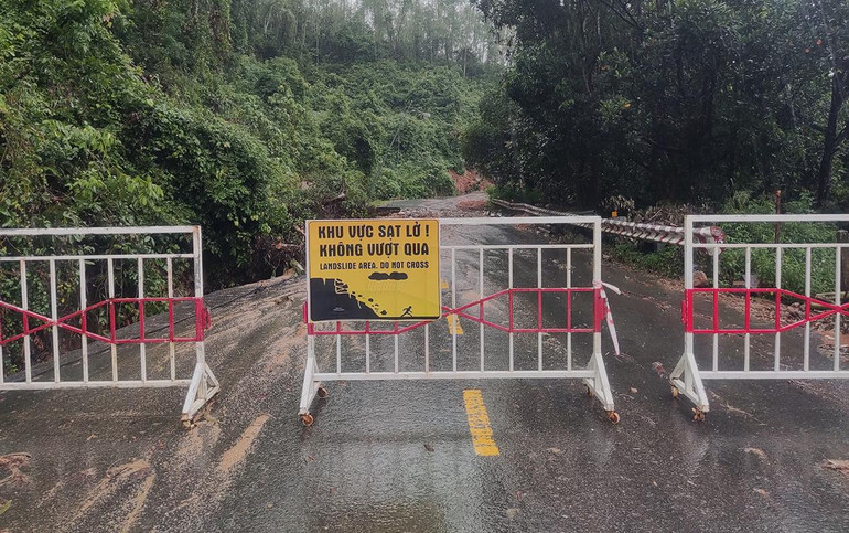 Đà Nẵng khẩn trương khắc phục sạt lở tại khu vực bán đảo Sơn Trà ảnh 11 Đà Nẵng khẩn trương khắc phục sạt lở tại khu vực bán đảo Sơn Trà ảnh 11