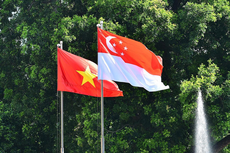 [Ảnh] Chủ tịch nước Nguyễn Xuân Phúc đón, hội đàm với Tổng thống Cộng hòa Singapore Halimah Yacob ảnh 9