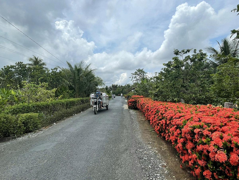 Một tuyến đường nông thôn mới ở thị xã Long Mỹ.