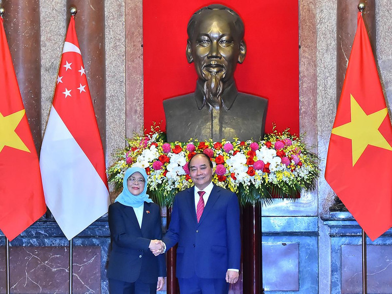 [Ảnh] Chủ tịch nước Nguyễn Xuân Phúc đón, hội đàm với Tổng thống Cộng hòa Singapore Halimah Yacob ảnh 4