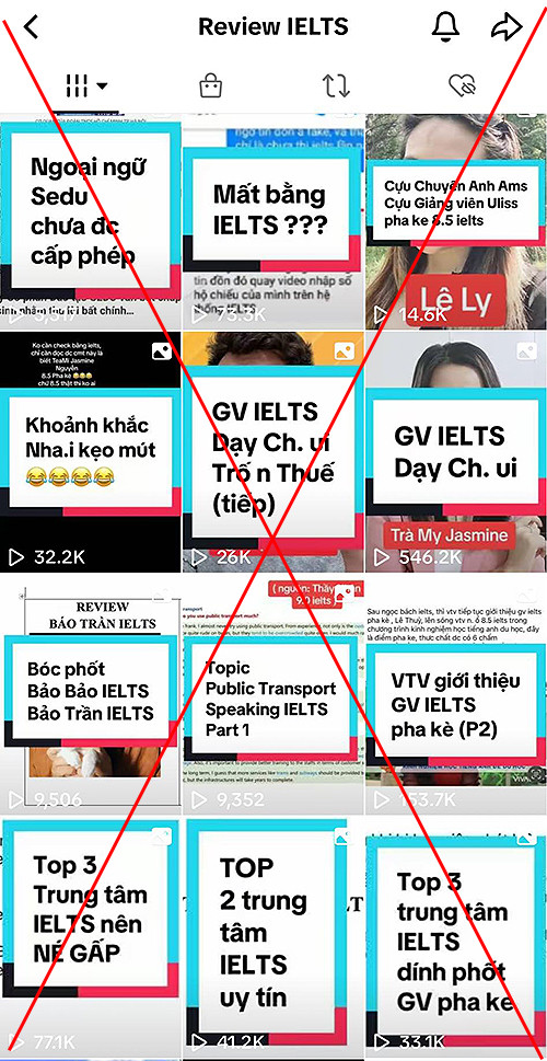 Dù quan điểm đưa ra vô căn cứ, nhưng trang cá nhân của Bảo Bảo vẫn có hàng chục nghìn lượt xem qua mỗi sản phẩm "truyền thông bẩn".