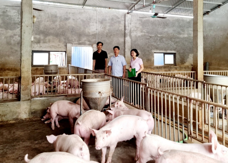 Ngân hàng Chính sách xã hội chi nhánh tỉnh Hưng Yên cho nông dân vay nguồn vốn tín dụng chính sách phát triển chăn nuôi.