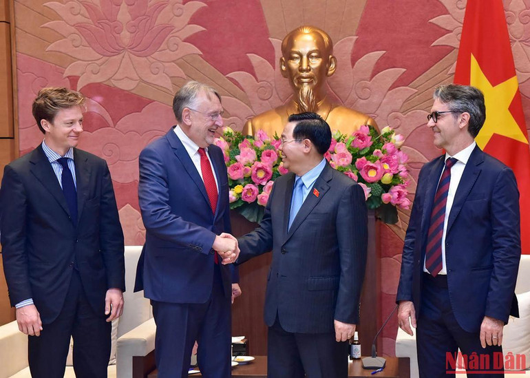 Chủ tịch Quốc hội tiếp Chủ tịch Ủy ban Thương mại Quốc tế, Nghị viện Châu Âu ảnh 5