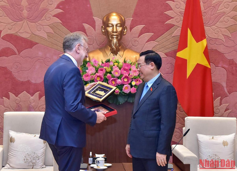 Chủ tịch Quốc hội tiếp Chủ tịch Ủy ban Thương mại Quốc tế, Nghị viện Châu Âu ảnh 6