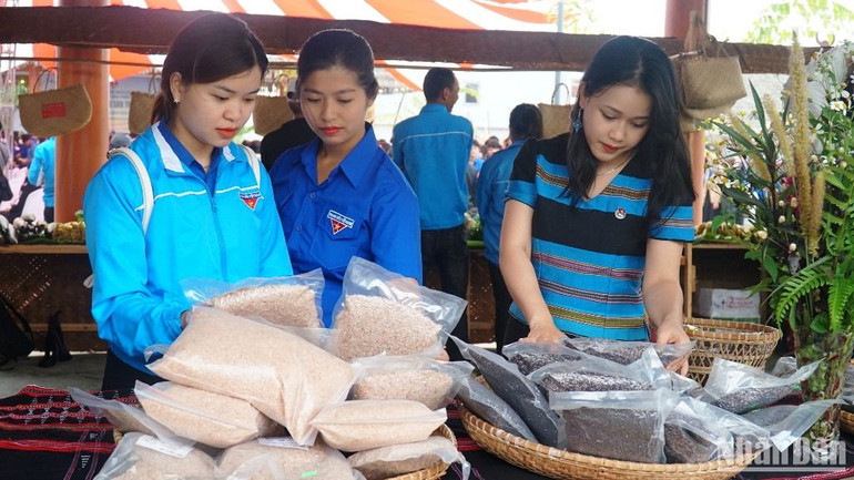 Tuổi trẻ Việt Nam chung tay xây dựng nông thôn mới ảnh 1 Tuổi trẻ Việt Nam chung tay xây dựng nông thôn mới ảnh 1