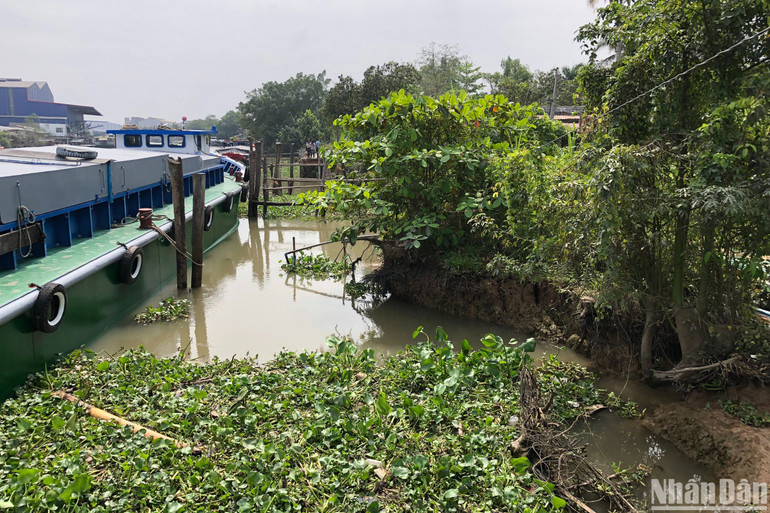 Một điểm sạt lở trên địa bàn huyện Cái Bè, tỉnh Tiền Giang.