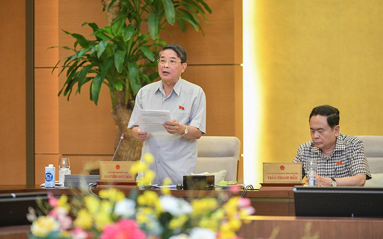 Phó Chủ tịch Quốc hội Nguyễn Đức Hải phát biểu kết luận nội dung thảo luận tại phiên họp. (Ảnh: Duy Linh)