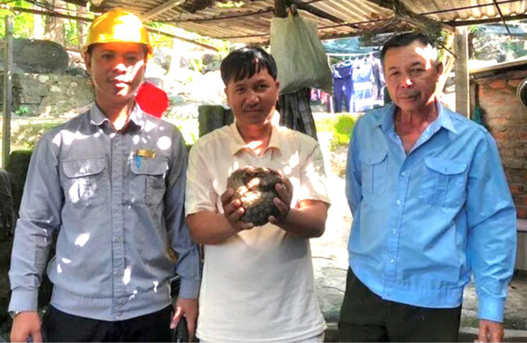 Tiếp nhận 1 cá thể tê tê bị mắc lưới.