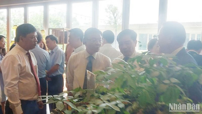 Phó Thủ tướng Lê Thành Long (thứ 2 từ trái sang) xem khu vực giới thiệu sản phẩm sâm Ngọc Linh tại hội nghị triển khai Quyết định số 463/QĐ-TTg ngày 28/02/2025 của Thủ tướng Chính phủ về phê duyệt Đề án “Phát triển và hình thành trung tâm công nghiệp dược liệu tại tỉnh Quảng Nam với Sâm Ngọc Linh là cây chủ lực”. Phó Thủ tướng Lê Thành Long (thứ 2 từ trái sang) xem khu vực giới thiệu sản phẩm sâm Ngọc Linh tại hội nghị triển khai Quyết định số 463/QĐ-TTg ngày 28/02/2025 của Thủ tướng Chính phủ về phê duyệt Đề án “Phát triển và hình thành trung tâm công nghiệp dược liệu tại tỉnh Quảng Nam với Sâm Ngọc Linh là cây chủ lực”.