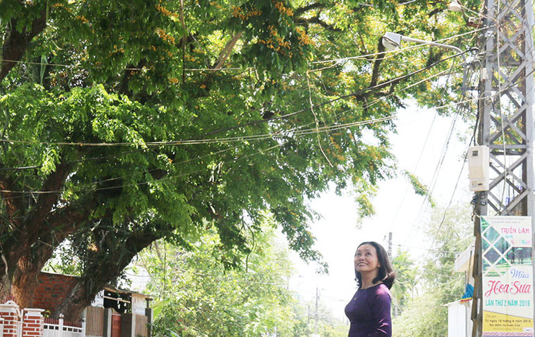 Lễ hội “Tam Kỳ mùa hoa sưa 2024” là cơ hội để Tam Kỳ quảng bá, giới thiệu về loài hoa đặc trưng của thành phố đến với du khách