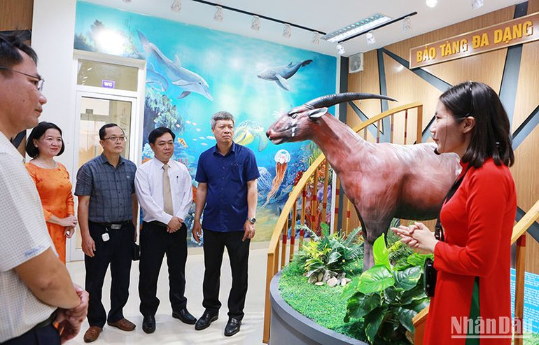 Các đại biểu tham quan khu trưng bày, giới thiệu ngành động vật tại Bảo tàng đa dạng sinh học tỉnh Quảng Nam. Các đại biểu tham quan khu trưng bày, giới thiệu ngành động vật tại Bảo tàng đa dạng sinh học tỉnh Quảng Nam.