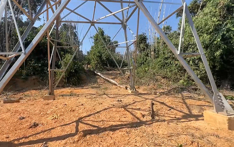 Nhiều diện tích rừng bị tàn phá để thi công đường dây tải điện.