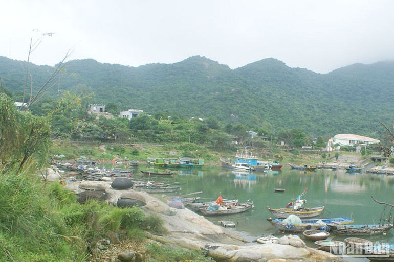 Một góc Khu dự trữ sinh quyển thế giới Cù Lao Chàm-Hội An. Một góc Khu dự trữ sinh quyển thế giới Cù Lao Chàm-Hội An.