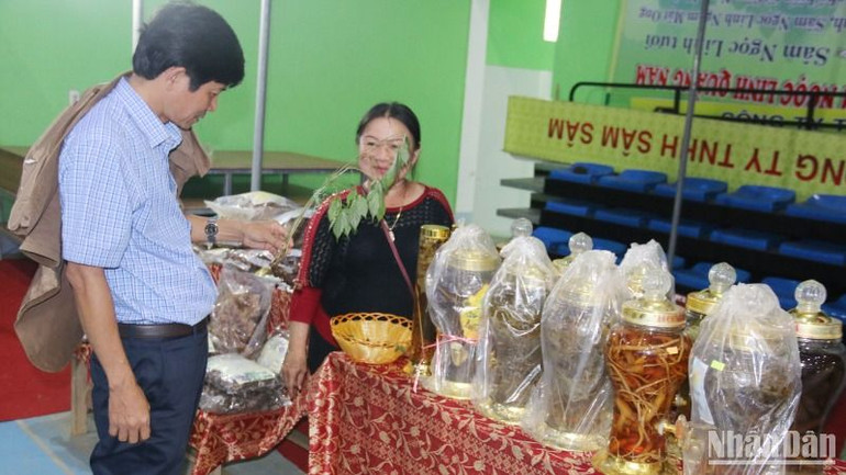 Sản phẩm sâm Ngọc Linh được giới thiệu, bày bán tại Phiên chợ sâm Ngọc Linh do Ủy ban nhân dân huyện Nam Trà My tổ chức. Sản phẩm sâm Ngọc Linh được giới thiệu, bày bán tại Phiên chợ sâm Ngọc Linh do Ủy ban nhân dân huyện Nam Trà My tổ chức.