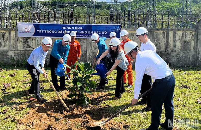 Trồng cây xanh hưởng ứng Năm phục hồi đa dạng sinh học quốc gia 2024 trên địa bàn tỉnh Quảng Nam.