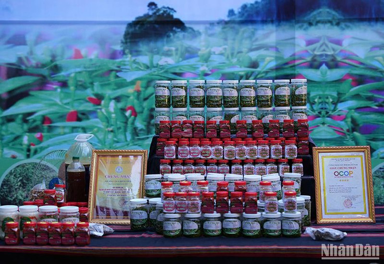 Gian hàng triển lãm ảnh các sản phẩm nông nghiệp và sản phẩm OCOP.