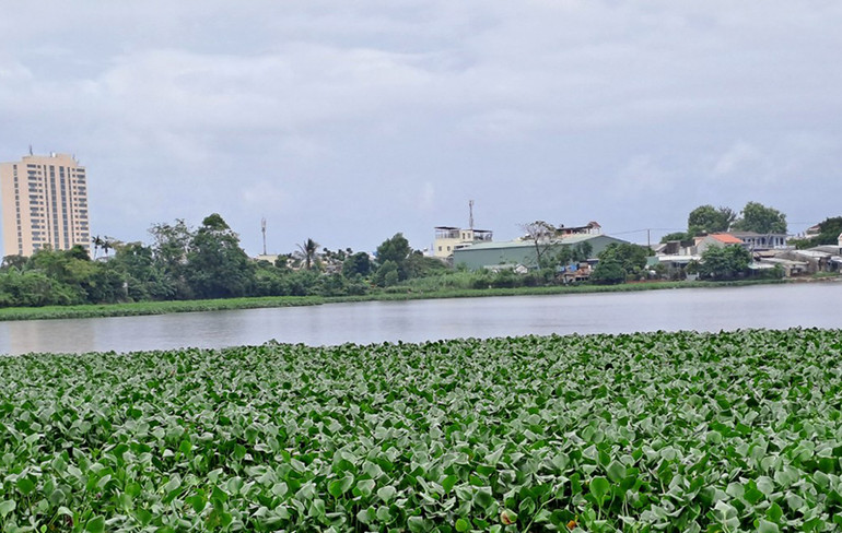 Mực nước trên sông Bàn Thạch (Tam Kỳ) vẫn bình thường.