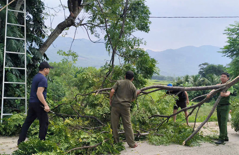 Các lực lượng vũ trang huyện Tiên Phước cắt tỉa cây xanh đề phòng ngã đổ gây mất điện, ách tắc giao thông.