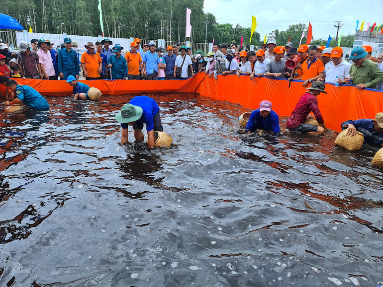 Cuộc thi bắt lươn rừng thu hút đông đảo cư dân tham gia tranh tài.