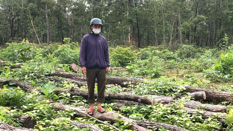 Sở Nông nghiệp và Phát triển nông thôn tỉnh Đắk Lắk đang làm rõ trách nhiệm của các tập thể, cá nhân liên quan đến việc để suy giảm gần 400ha rừng thuộc lâm phận do Trung tâm Bảo tồn voi, cứu hộ động vật và Quản lý bảo vệ rừng quản lý. Sở Nông nghiệp và Phát triển nông thôn tỉnh Đắk Lắk đang làm rõ trách nhiệm của các tập thể, cá nhân liên quan đến việc để suy giảm gần 400ha rừng thuộc lâm phận do Trung tâm Bảo tồn voi, cứu hộ động vật và Quản lý bảo vệ rừng quản lý.