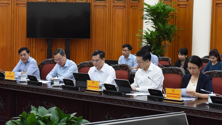 Các đại biểu tham dự Hội nghị.