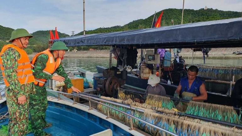 Bộ đội Biên Phòng Đảo Trần tuyên truyền vận động người dân chủ động phòng, chống bão số 1.