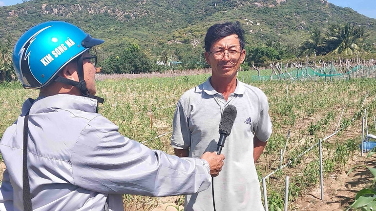 Phóng viên Báo Nhân Dân phỏng vấn ông Nguyễn Hàn, Trưởng thôn Thái An tại khu vực trồng tỏi của người dân. Phóng viên Báo Nhân Dân phỏng vấn ông Nguyễn Hàn, Trưởng thôn Thái An tại khu vực trồng tỏi của người dân.