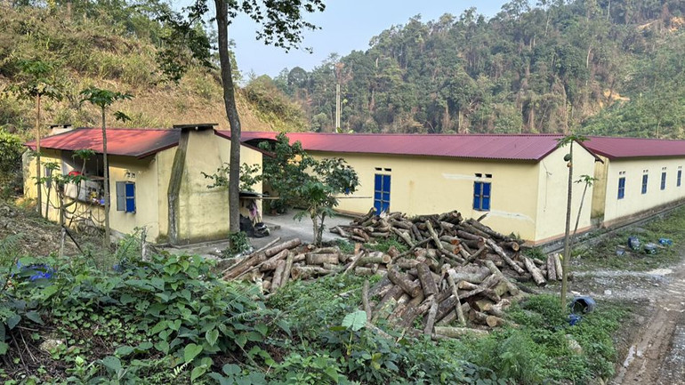 Nhiều gỗ tròn tập kết dưới chân lô sát với khu vực nhà máy của Công ty Trách nhiệm hữu hạn và thương mại Hoàng Nam.