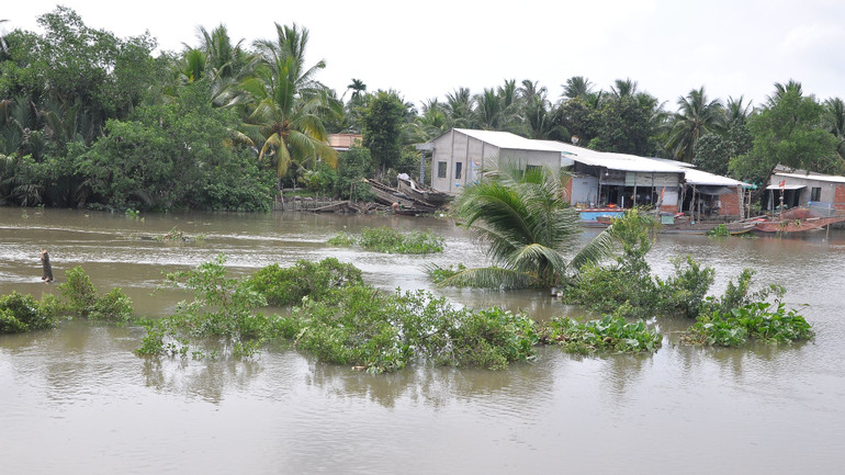 Sạt lở khiến đường sá, cây ăn trái đổ sụp xuống sông.