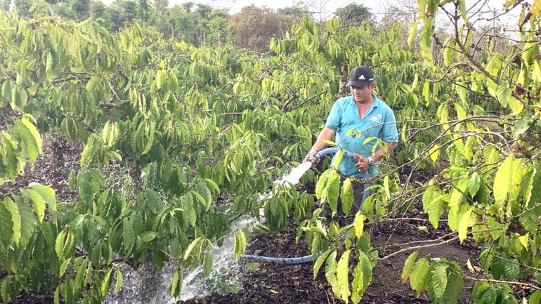 Lễ hội là dịp để tôn vinh người trồng, chế biến và kinh doanh cà-phê.