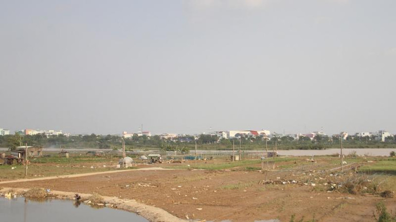 Vùng rau La Hường (Cẩm Lệ) sau khi nước rút. Vùng rau La Hường (Cẩm Lệ) sau khi nước rút.