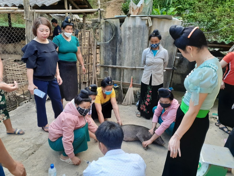 Học viên lớp đào tạo nghề huyện Mường Ảng thực hành tiêm phòng bệnh cho đàn lợn. Học viên lớp đào tạo nghề huyện Mường Ảng thực hành tiêm phòng bệnh cho đàn lợn.