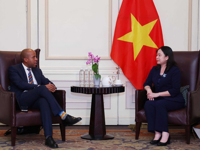 Phó Chủ tịch nước Võ Thị Ánh Xuân gặp gỡ đại diện doanh nghiệp Nam Phi.