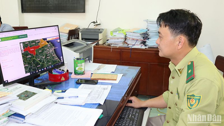 Cán bộ kiểm lâm Quảng Ngãi túc trực giám sát cảnh báo cháy rừng từ vệ tinh.