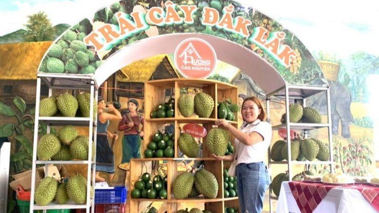 Sầu riêng và bơ, 2 loại trái cây thơm ngon nổi tiếng Đắk Lắk được trưng bày, giới thiệu tại Hội nghị.