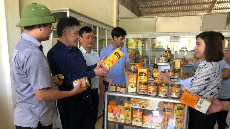 Phòng trưng bày và giới thiệu sản phẩm mật ong của Hợp tác xã Nông lâm nghiệp dịch vụ Tâm An.