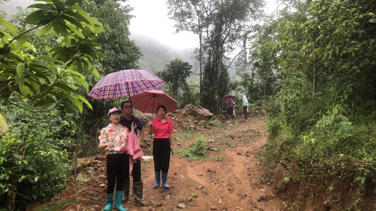 Một phần đất rừng bị san ủi để mở thành đường. (Ảnh: VĂN NHÂN)