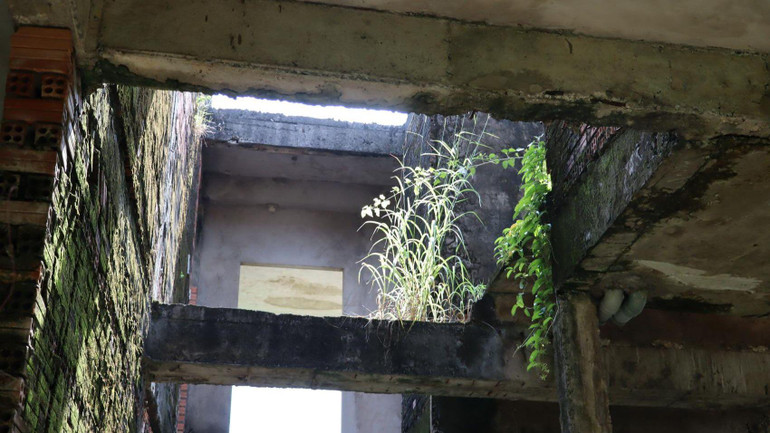 Bên trong những ngôi nhà bỏ hoang nhiều năm tại một dự án ở huyện Nhơn Trạch.