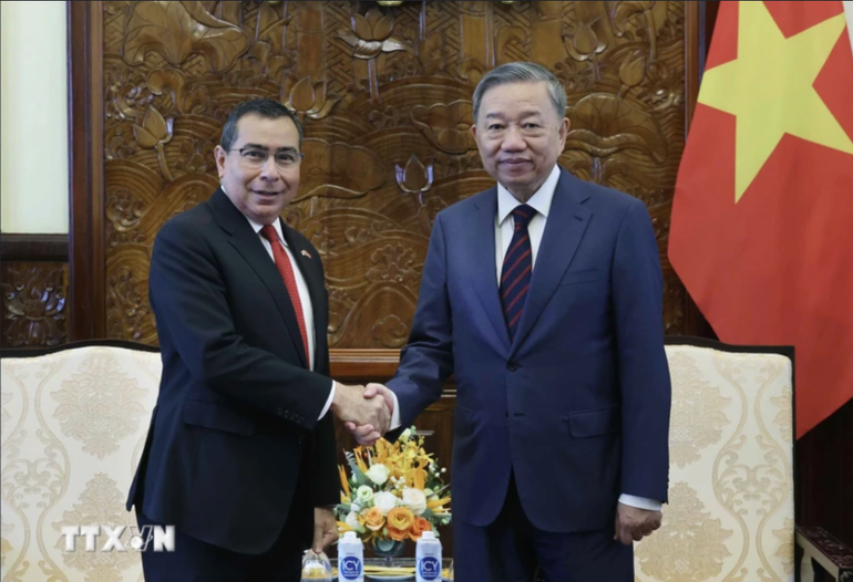 Chủ tịch nước Tô Lâm tiếp Đại sứ Panama Eligio Salas III. (Ảnh: Nhan Sáng/TTXVN)