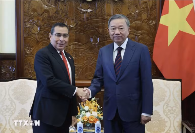 Chủ tịch nước Tô Lâm tiếp Đại sứ Panama Eligio Salas III. (Ảnh: Nhan Sáng/TTXVN)