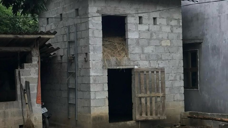 Mô hình chuồng trại hai tầng (tầng trên chứa rơm, cỏ khô; trâu bò ở phía dưới) ở Lạng Sơn.