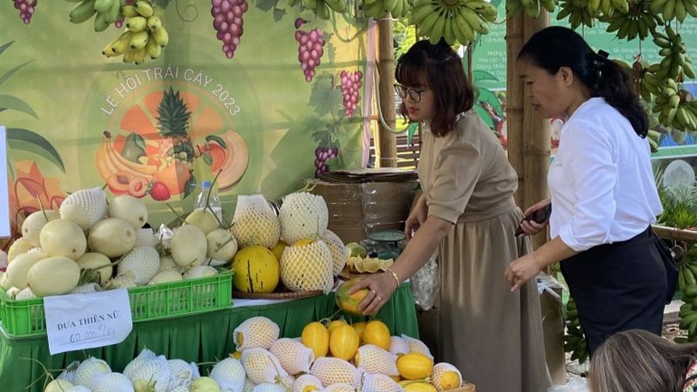 Các Hợp tác xã, doanh nghiệp mang đến nhiều loại trái cây chính vụ.