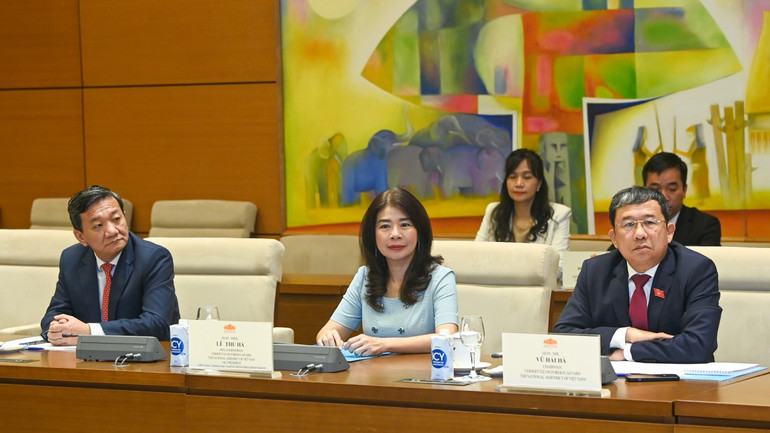 Chủ nhiệm Ủy ban Đối ngoại Vũ Hải Hà và các đại biểu Việt Nam dự buổi tiếp.