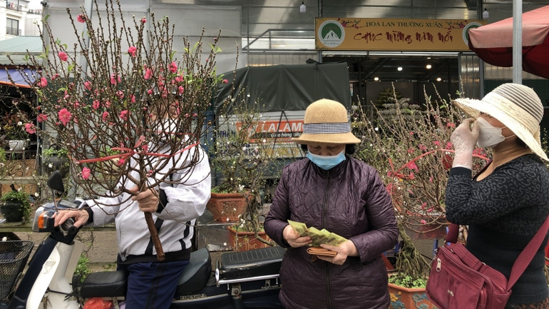 Người dân Hà Nội rục rịch mua sắm hoa, cây cảnh Tết.