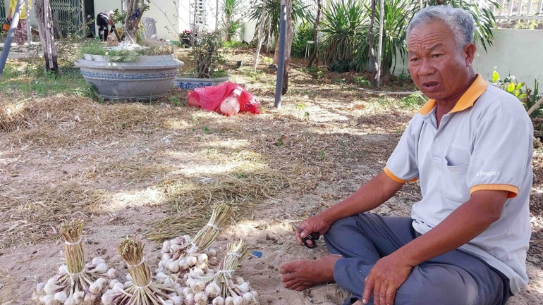 Ông Nguyễn Khắc Phòng, Giám đốc Hợp tác xã tổng hợp nông nghiệp Thái An, trao đổi với phóng viên Báo Nhân Dân vào chiều 13/2/2023. Ông Nguyễn Khắc Phòng, Giám đốc Hợp tác xã tổng hợp nông nghiệp Thái An, trao đổi với phóng viên Báo Nhân Dân vào chiều 13/2/2023.